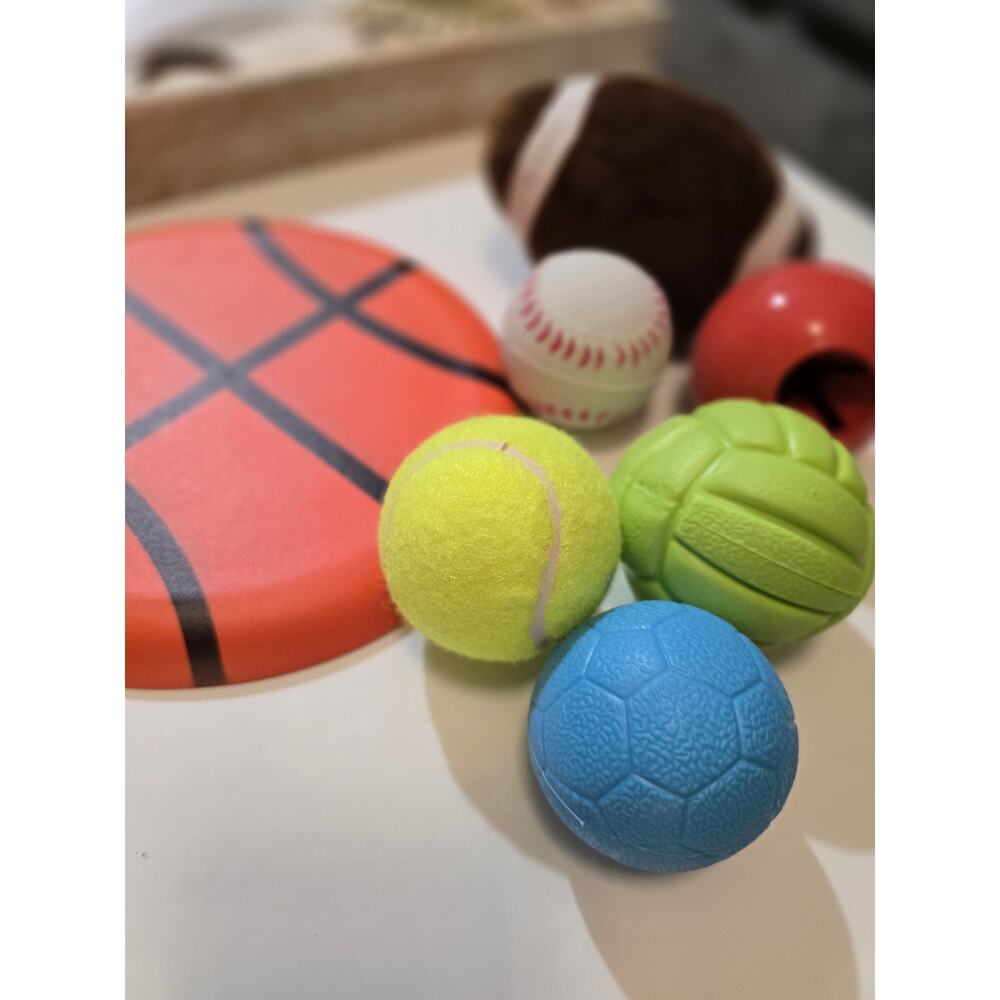 Pet Ball Toys for Dogs 7 Toys